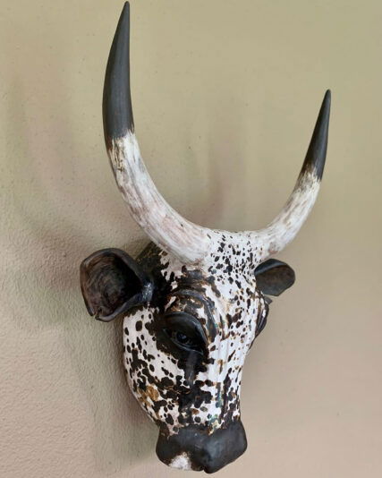 BFF24431-C1DA-41CF-97ED-AFDEF55E3747