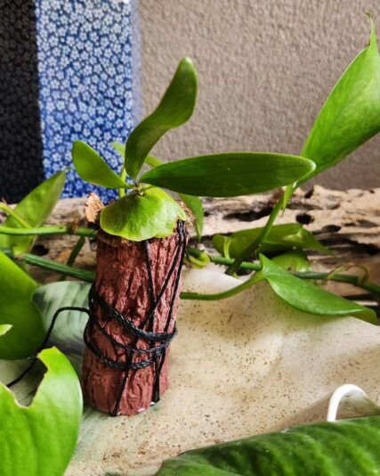 c5d066f9-3daa-4e92-992c-12a0d5329e81