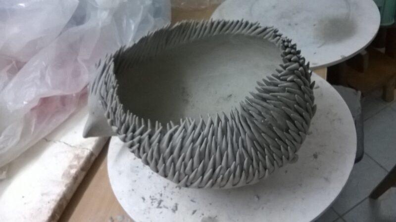 14753731_1243112402376238_2786732029582541768_o