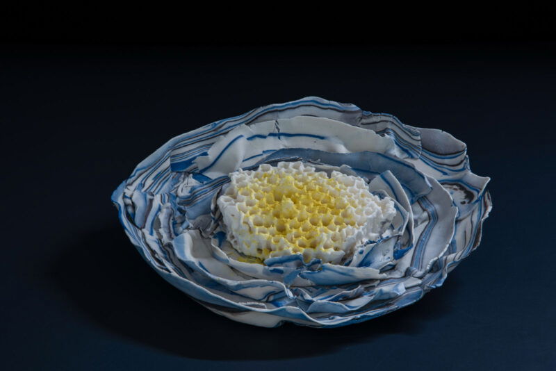 62A7E353-222A-4270-9EFA-99D1A0C63144