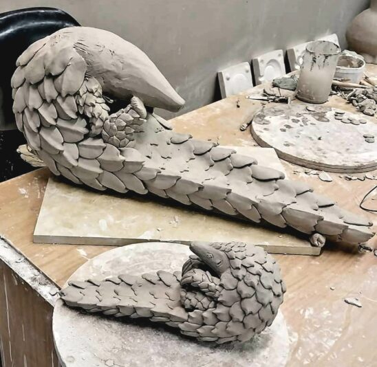 FB_IMG_1652987922112