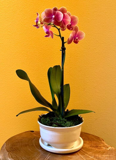 9DD6877E-A41F-401F-BE44-8FB35E3E0E89