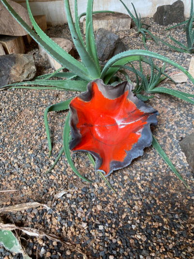 F5646F32-4D90-4052-A267-9AF143673C18