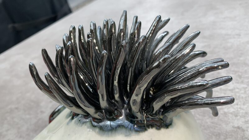 97965648-033D-437C-8050-061C6C686A0D