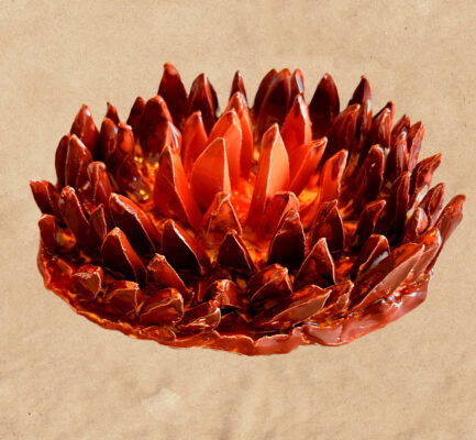 ED06192F-6E91-4F74-A918-7640558E61FE