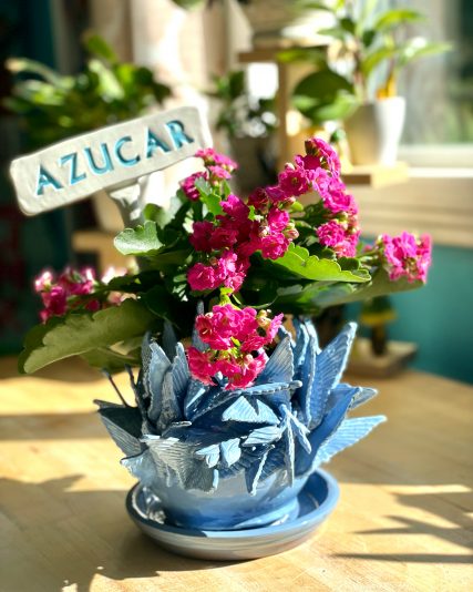 29CF6C7D-CA2F-4D06-B7B0-9CD679E52495