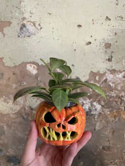 2036A135-209C-4F9E-892F-B8CB386A690A