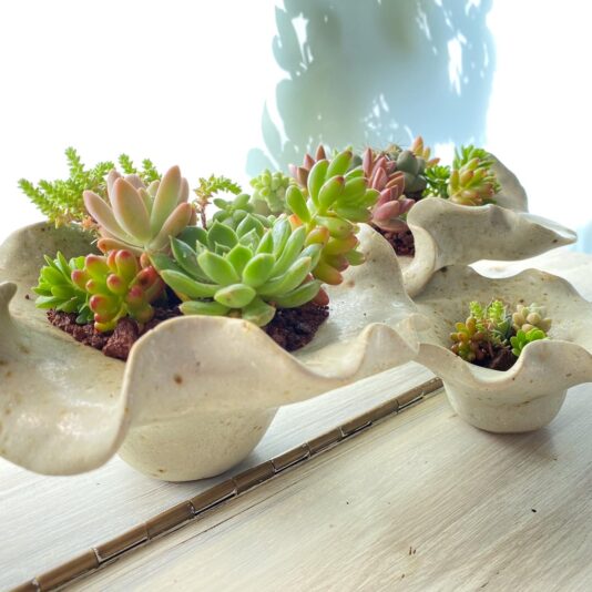 6A6AE854-C780-4FEC-A755-46CCA03FB5DC