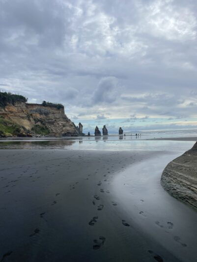 00F13AE6-DAB5-4D4C-A478-60E559D3FF0F