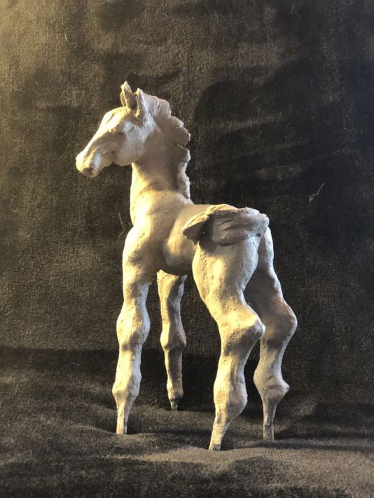 1D8AA101-A2E3-4196-9EDF-5EF881C47C73