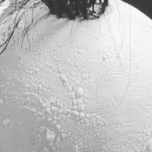 31FE287F-28B1-467D-83FC-8DC67723F72A