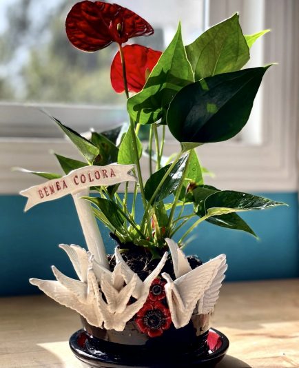 DA9BF274-6180-480A-B6D8-41E72965A23F