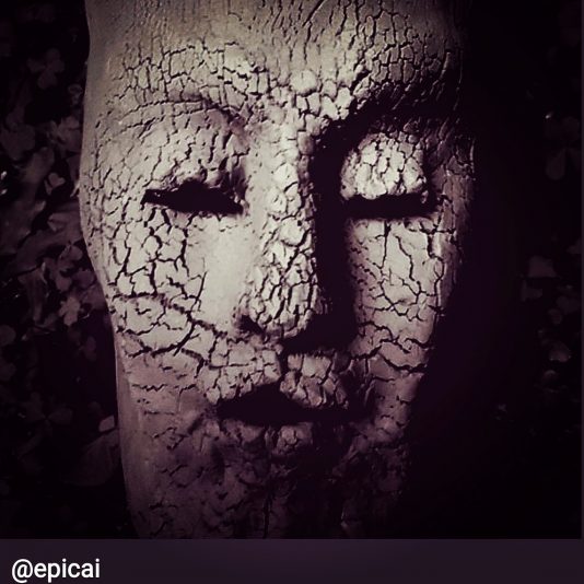 IMG_20210815_102104_261