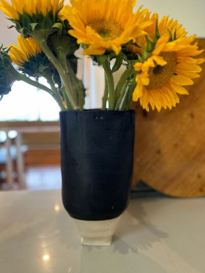 BDE400FD-6697-495D-BE59-EB24E6EC1208