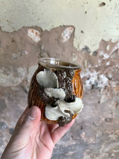 F6FF6F9F-FFA1-441C-963C-85F8551EB22F