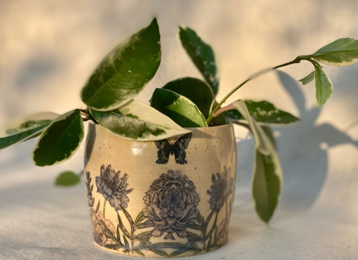 45080387-CA9C-4F19-96A7-0350EB0F139B