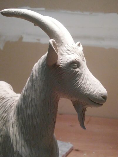 Screenshot_20210430-173139_Photos~2