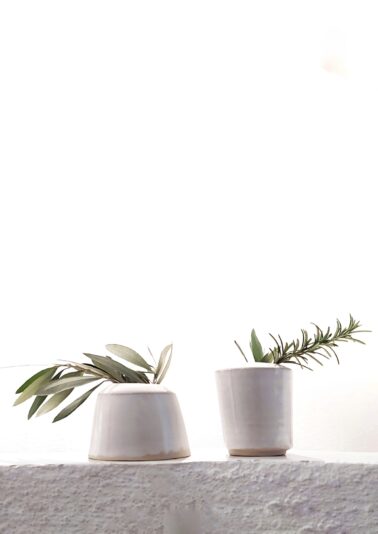 987254f9-dd98-4c7b-a743-e2e72ec5002c