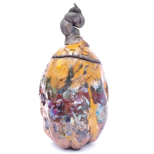 79249255_2733858013301662_1956700569351487488_n