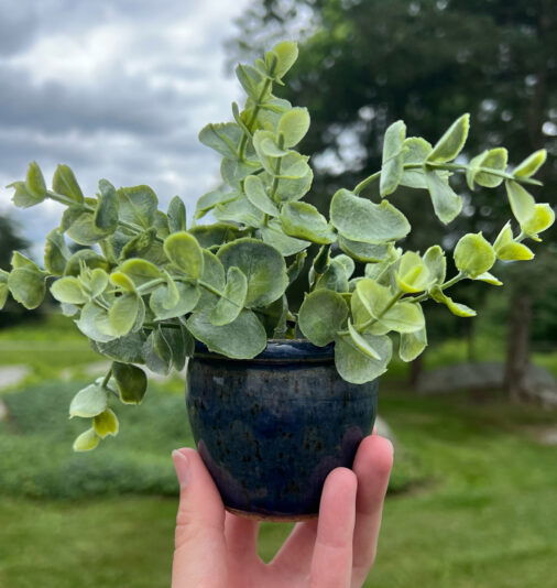 53349AD9-CAA5-4A60-BE24-83858C29BC83