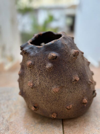 D70D613E-6779-48BA-A89F-739B6E58D255