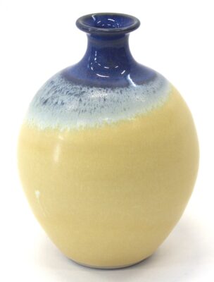 blueandyellowfavbottlevase