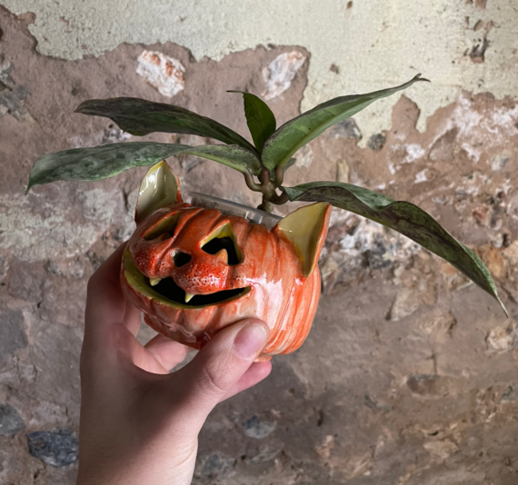 6CA90BD0-FFB0-40DD-9D04-029C382736D1