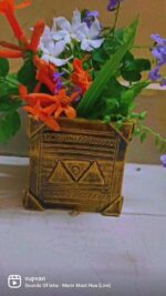 VID_42970305_120532_549